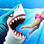 Angry Shark Miami